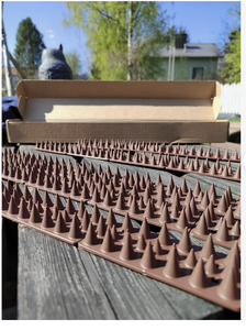 Jardin extérieur Patio repousser les animaux <span class=keywords><strong>Anti</strong></span>-<span class=keywords><strong>pigeon</strong></span> chat pointes rebord de fenêtre balcon Pot de fleur clôture mur résistant aux oiseaux barrières contre les piqûres - Product Image 5