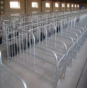 Nuevo Sistema de jaula/puesto de parto eficiente óptimo ZHONGNUO para cría de cerdos con 1 año de garantía para cría de cerdas y lechones - Product Image 3