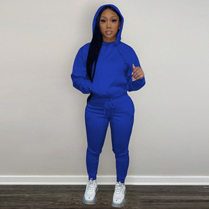 Wholesale 2023 Custom Logo Women's Skinny Hooded 2-Piece Training Sweatpants Set Fleece Jogging Tracksuit - Product Image 3