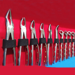 Juego de extracción de examen de estudiante personalizado hecho en fábrica internacional M.A Siddique, juego de instrumentos dentales con fórceps de 10 piezas - Product Image 3