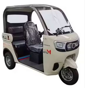 Triciclos Eléctricos Listos para Enviar, Motocicletas de 4 Plazas con Carrocería Cerrada, Motor de Alta Potencia, Tipo Mini para Pasajeros - Product Image 1