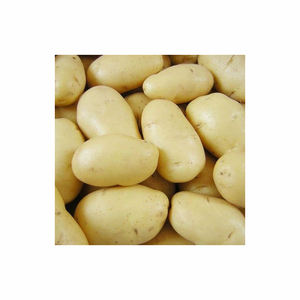 Papas Fritas y Patatas Fritas Frescas Brasileñas Orgánicas de Alta Calidad Grado A Exportadas Saludables - Product Image 4