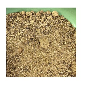 Proveedor de Pastel de Semillas de Algodón a Granel que Ofrece Ingredientes de Alimentación de Primera Calidad para Aves de Corral y Ganado a los Mejores Precios del Mercado - Product Image 6