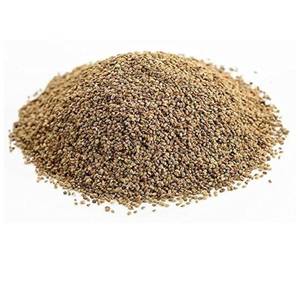 Meilleur 100% poudre de graines de céleri crues fraîches de qualité alimentaire naturel fournisseur direct dernier emballage de tambour de culture indienne - Product Image 5