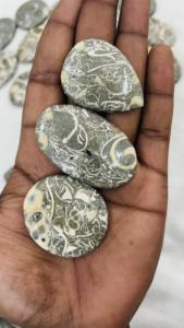 Cabujón de jaspe Turritella indio Natural de grado AAA, piedra preciosa suelta de tamaño personalizado de alta calidad para la fabricación de joyas - Product Image 3