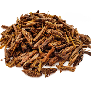 Cao protein khô châu chấu | cấp thực phẩm cho con người tiêu dùng - Product Image 6
