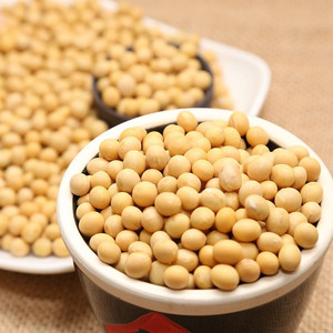 Chất Lượng Cao Hữu Cơ Vàng Hạt Giống Đậu Non-Biến Đổi Gen Và Tự Nhiên Khô Đậu Nành Chúng Tôi Xuất Xứ Số Lượng Lớn Đóng Gói - Product Image 1