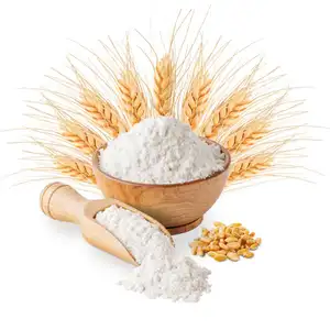 Vente en gros de farine de blé bon marché de haute qualité/farine de semoule de blé dur 100% à vendre