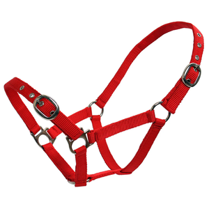 Durable Réglable En Nylon Cheval Halter Confortable Solide Premium Headcollar Formation Halter En Gros En Vrac Cheval Tack Équitation - Product Image 3