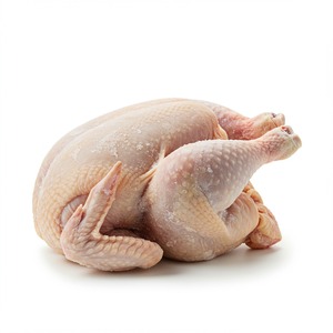 Pollo congelado empacado para apoyar la logística a granel para las ventas de supermercados y la distribución de alimentos congelados Mejor valor - Product Image 1