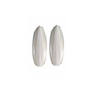 Bulk Lightweight Frozen <b>Cuttlefish</b> Bones for Bird Care - Product Image 6