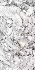 Volga White 60x120cm Carreaux de céramique polis émaillés Carreaux de porcelaine modernes 600x1200mm pour sol et mur de salle de bain fabriqués en Inde - Product Image 4