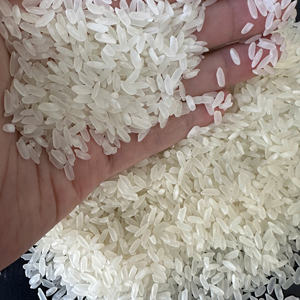 Riz Camolino à grains moyens Calrose de qualité supérieure pour l'exportation, texture douce, idéal pour l'Océanie, les Amériques et les marchés asiatiques // ANNA DO - Product Image 1