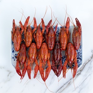 ข้อเสนอสุดพิเศษ กุ้งเครย์ฟิชแช่แข็ง คุณภาพสูง อาหารทะเลสดใหม่ สำหรับผู้ซื้อจำนวนมาก ผู้นำเข้า ผู้จัดจำหน่าย และลูกค้าขายส่ง - Product Image 2
