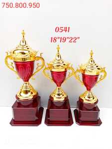 2025 Fabricante Logotipo personalizado Trofeo Premio Copa Mundial Deportes Medallas y trofeos Oro Plata Metal Deporte Trofeo para campeones - Product Image 5