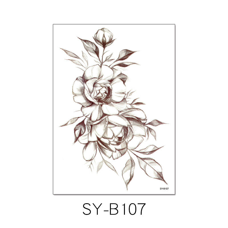 SY-B107