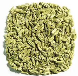 Novo produto mais vendido, sementes de feno com especiarias únicas de alto valor nutritivo e saudável verde e marrom do Egito
