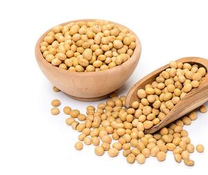 Farine de soja séchée biologique de Thaïlande Emballage en vrac de culture biologique à vendre - Product Image 1