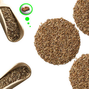 Dill | Fresh Harvest <b>Herb</b> for Seasoning Manufacturers - Product Image 5