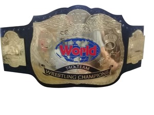 Cinturones de campeonato de lucha libre Trofeos Medallas y premios el símbolo definitivo de Victoria y excelencia Cinturones de Campeonato - Product Image 2