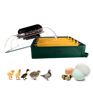 Tự động EU Profi C-24 trứng lồng ấp với hiển thị kỹ thuật số và 24 trứng công suất cho gia cầm - Product Image 1