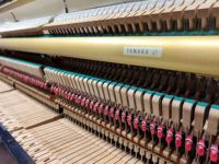 Classic Yamahas U1E Upright Piano Japan Import Superior Craftsmanship High Quality Black Finish Smooth Performance