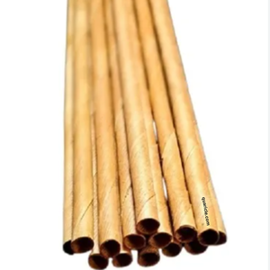 100% pailles jetables de noix de coco biodégradables sans danger pour l'environnement pour les boissons chaudes/froides pour les mariages/événements/hôtels/voyages - Product Image 6