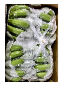 Exportation de bananes Cavendish fraîches de bonne qualité provenant de la vente en gros de 99 données d'or au Vietnam à un prix compétitif-Meilleurs produits Vente à chaud - Product Image 5