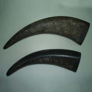 Pointe de corne de buffle naturelle, artisanale, écologique, taille personnalisable, couleur noire naturelle, style animal unique - Product Image 1