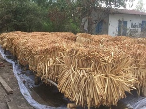 Material de jacinto de agua seca de alta calidad para decoración de sombrero de cesta hecha a mano precio más barato de Vietnam - Product Image 6