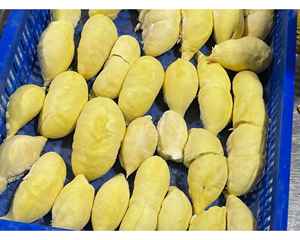 Durian congelado IQF suministrado desde Vietnam procesamiento Durian congelado IQF en embalaje estándar para el Comercio Global para la exportación - Product Image 3