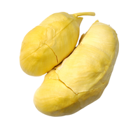 Durian Vers Fruit Bij Voorkeur Voor Veel Durian-Liefhebbers En Kinderen Verse D103 Van Vietnam Wholesale Premium Hoogwaardig Heerlijk