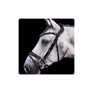 Brida de caballo portátil multifuncional personalizada con nombre de logotipo de marca OEM 2022 en marrón con placa de identificación de cuero personalizada - Product Image 1