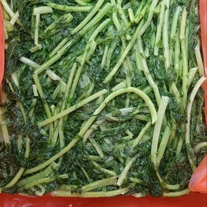 Feuilles de radis frais fermiers congelés IQF emballage en vrac d'origine du Vietnam prêt à cuire - Product Image 5