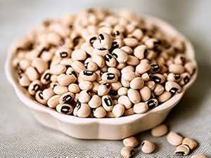 Prix de gros Haricots blancs secs bruts 99%+ de pureté certifiés FSSAI ISO HACCP pour l'exportation - Product Image 3