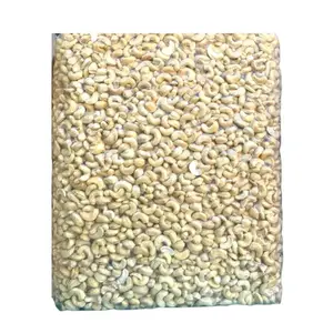 Pemasok tepercaya Vietnam kacang mete kacang mete W320 Kernel Cashew diekspor ke AS, UE, Timur Tengah