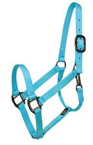 Premium HE5600 English Dressage Horse Halter Australian <b>Style</b> <b>Gel</b> Padded Nylon Comfort Custom Logo 100% QC Approved 10-18.5" - Product Image 2