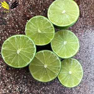 Exportación de Cítricos al por Mayor de Limas Verdes sin Semillas - Product Image 6