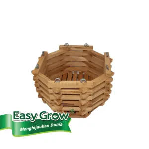 Eco Friendly Garden Planter Orchid Flower Pot Wood Modern Style Unique Natural Color Design for Indoor Plant and home decor