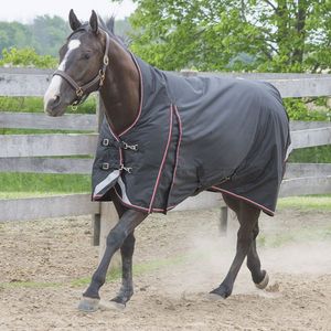 Indian Horsewear Magnum Storm 160gm léger - Product Image 1