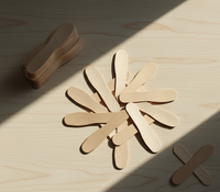 Cuillères en bois jetables de 75 mm pour la crème glacée et les desserts, mini-cuillères en bois de bouleau lisses, écologiques et biodégradables