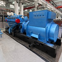 Natürliches Biogas Syngas Auto-Start Gasgenerator-Set 20KW-800KW Methan-Turbine CNG-Stromaggregat