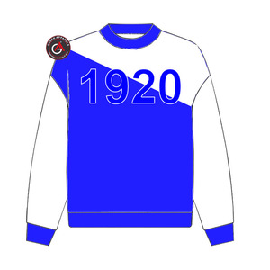 Personnalisé grec Zeta Phi Beta sororité et fraternité brodé attirail pull sweat - Product Image 1
