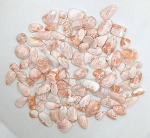 Piedra preciosa suelta Scolecite, lote de cabujón de Scolecite Natural, lote de cabujón de piedra preciosa Scolecite Piedra preciosa única Scolecite para joyería. - Product Image 2