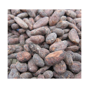 Offre Spéciale fèves de cacao qualité supérieure en gros en vrac pour chocolat artisanal prêt à l'exportation - Product Image 2