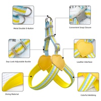 Set Harness dan Tali Anjing Heart Accent dengan Webbing Bergaris Pastel dan Ukuran yang Dapat Disesuaikan untuk Anjing Kecil saat Jalan-jalan Sehari-hari