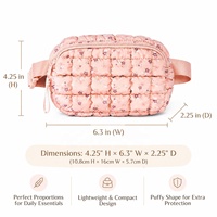 Sac banane compact en nylon haute densité matelassé, ceinture réglable, pour femme, décontracté, pour les trajets quotidiens, commande en gros, usine certifiée BSCI ISO