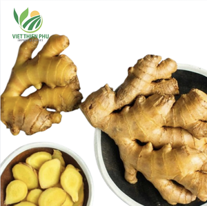 Viet Thien Phu Gingembre frais biologique 100% qualité supérieure naturelle pour la cuisine et les bienfaits pour la santé Prix - Product Image 4