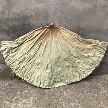 HOJAS DE LOTO SECAS NATURALES PARA EL TÉ DE HIERBAS APOYO AL SISTEMA INMUNE Y NUTRICIÓN LIMPIA BASADA EN PLANTAS - Product Image 5