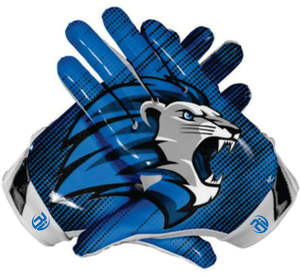 Gants de football américain d'hiver avec logo personnalisé de haute qualité avec un design personnalisé super collant et antidérapant Design confortable - Product Image 5